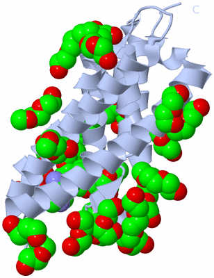 Image Biological Unit 1