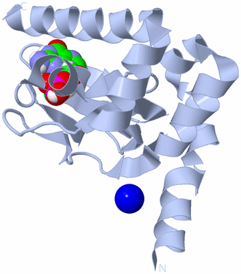 Image Biological Unit 1