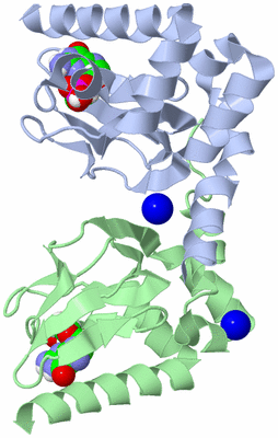 Image Biological Unit 3