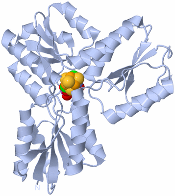 Image Biological Unit 1