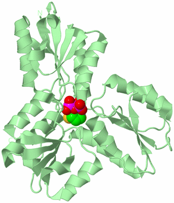 Image Biological Unit 2