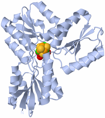 Image Biological Unit 1