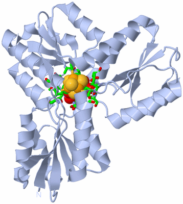 Image Biol. Unit 1 - sites