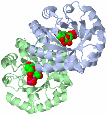 Image Asym./Biol. Unit