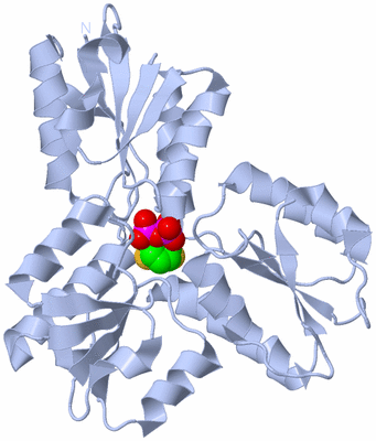 Image Biological Unit 1