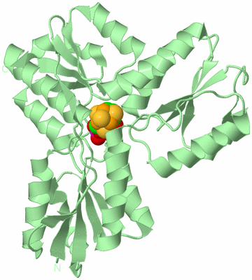 Image Biological Unit 2