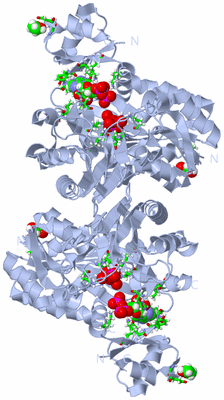 Image Biol. Unit 1 - sites