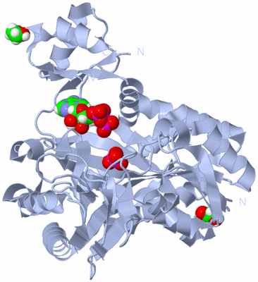 Image Biological Unit 2