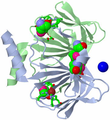 Image Asym./Biol. Unit - sites