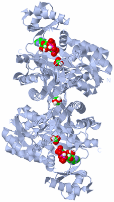 Image Biological Unit 1