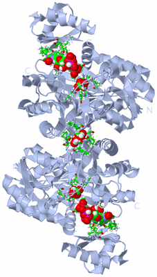 Image Biol. Unit 1 - sites