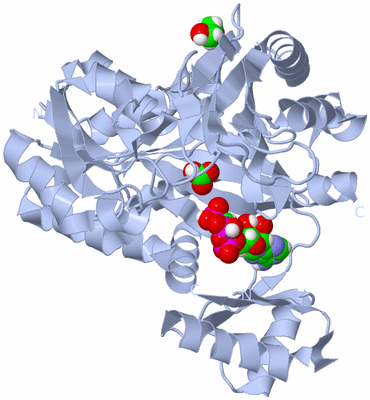 Image Biological Unit 2