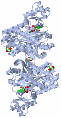 Image Biological Unit 1