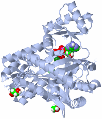 Image Biological Unit 2