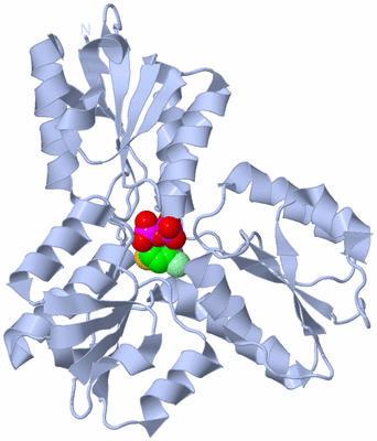 Image Biological Unit 1