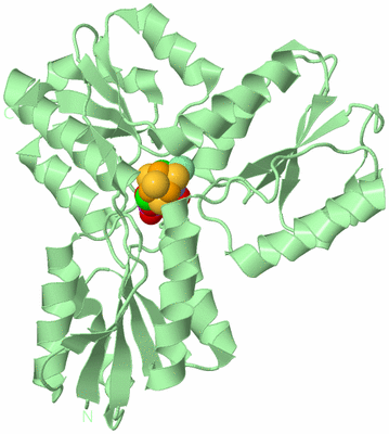 Image Biological Unit 2