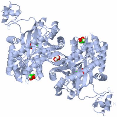 Image Biological Unit 1