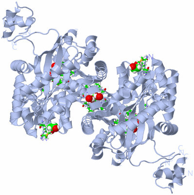 Image Biol. Unit 1 - sites