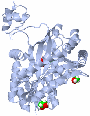 Image Biological Unit 2