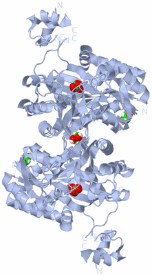 Image Biological Unit 1