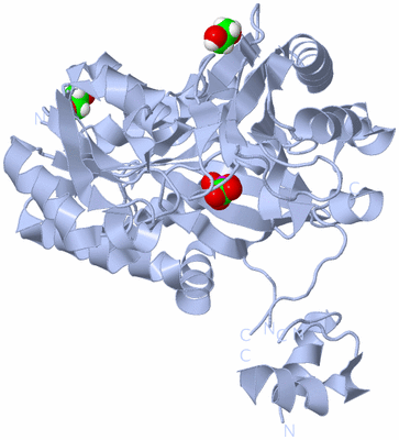 Image Biological Unit 2