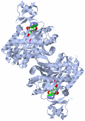 Image Biological Unit 1