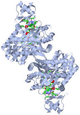 Image Biol. Unit 1 - sites