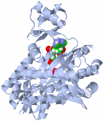 Image Biological Unit 2