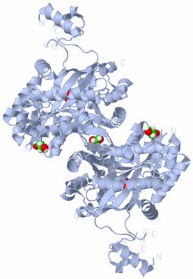 Image Biological Unit 1