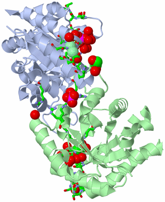 Image Asym./Biol. Unit - sites