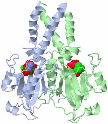 Image Asym./Biol. Unit