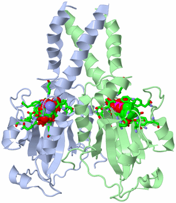 Image Asym./Biol. Unit - sites