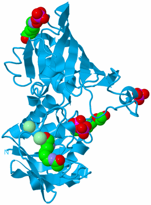 Image Biological Unit 10