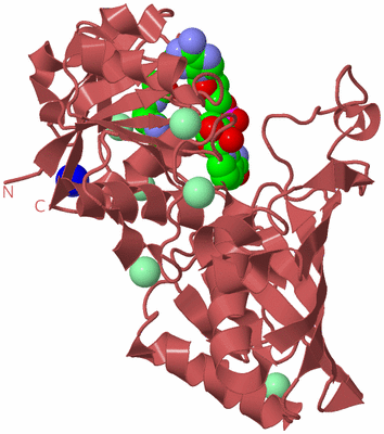 Image Biological Unit 11