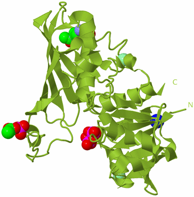 Image Biological Unit 13