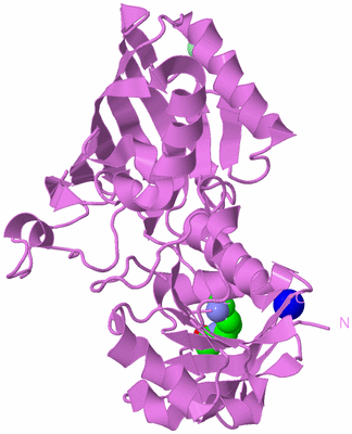 Image Biological Unit 14