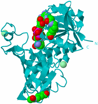 Image Biological Unit 15