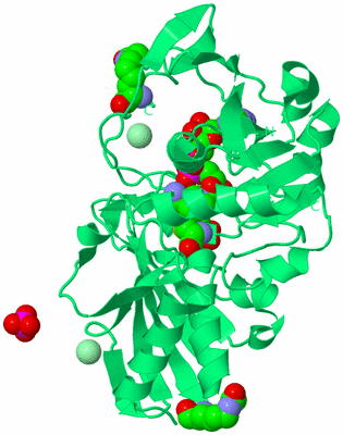 Image Biological Unit 16