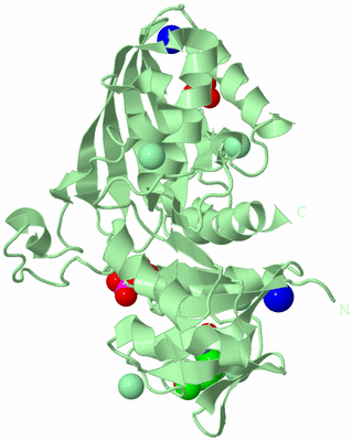 Image Biological Unit 2