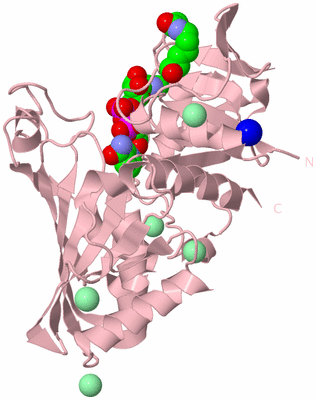 Image Biological Unit 3