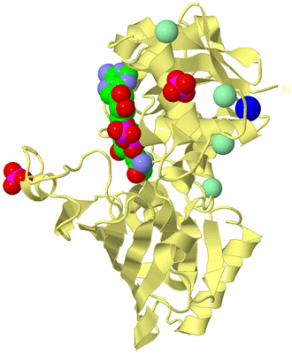 Image Biological Unit 4