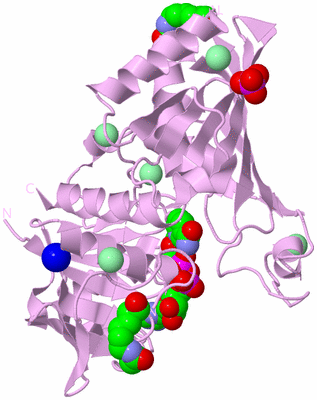 Image Biological Unit 5