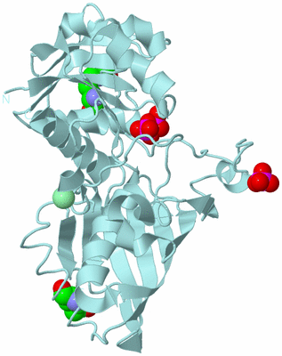 Image Biological Unit 6