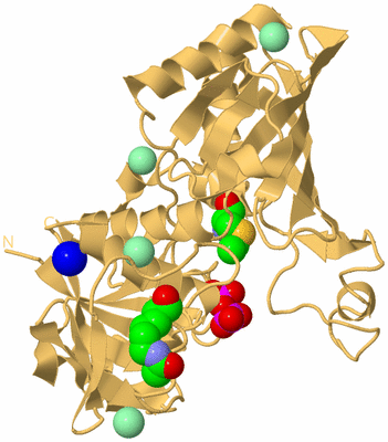 Image Biological Unit 7