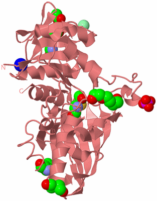 Image Biological Unit 8