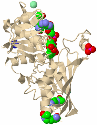 Image Biological Unit 9