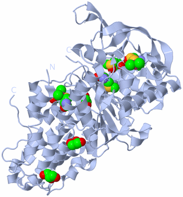 Image Biological Unit 1