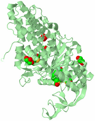 Image Biological Unit 2