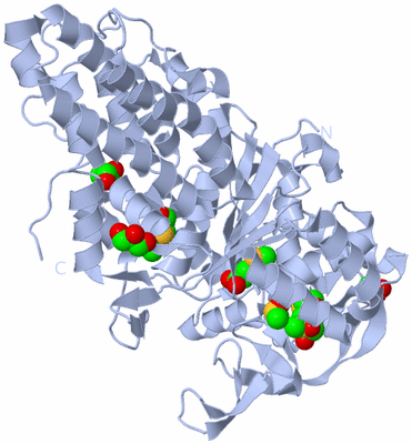 Image Biological Unit 1