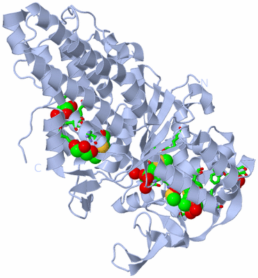 Image Biol. Unit 1 - sites